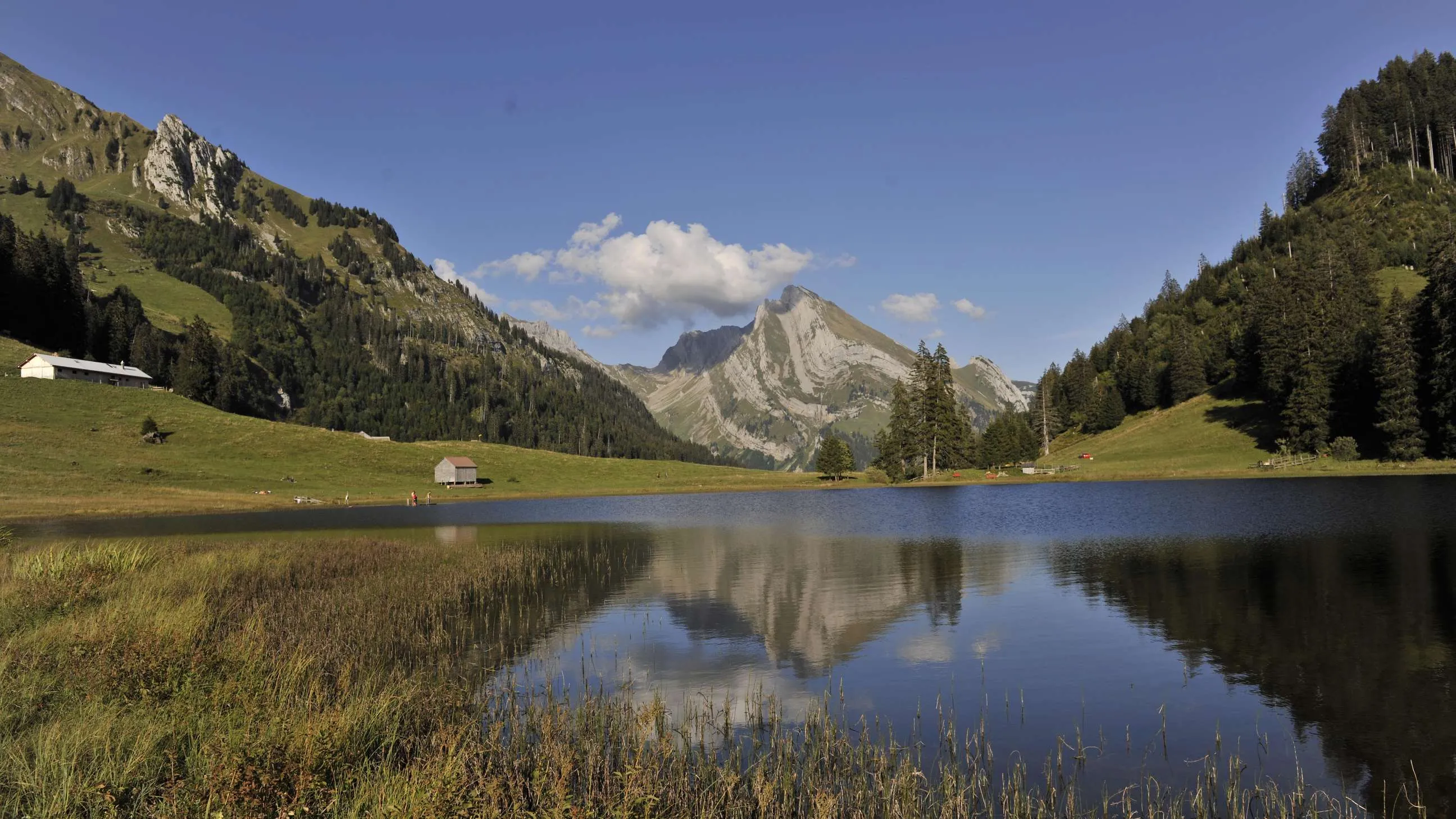 Der Gräppelensee, umgeben von Alpweiden am Fuss des Lütispitz