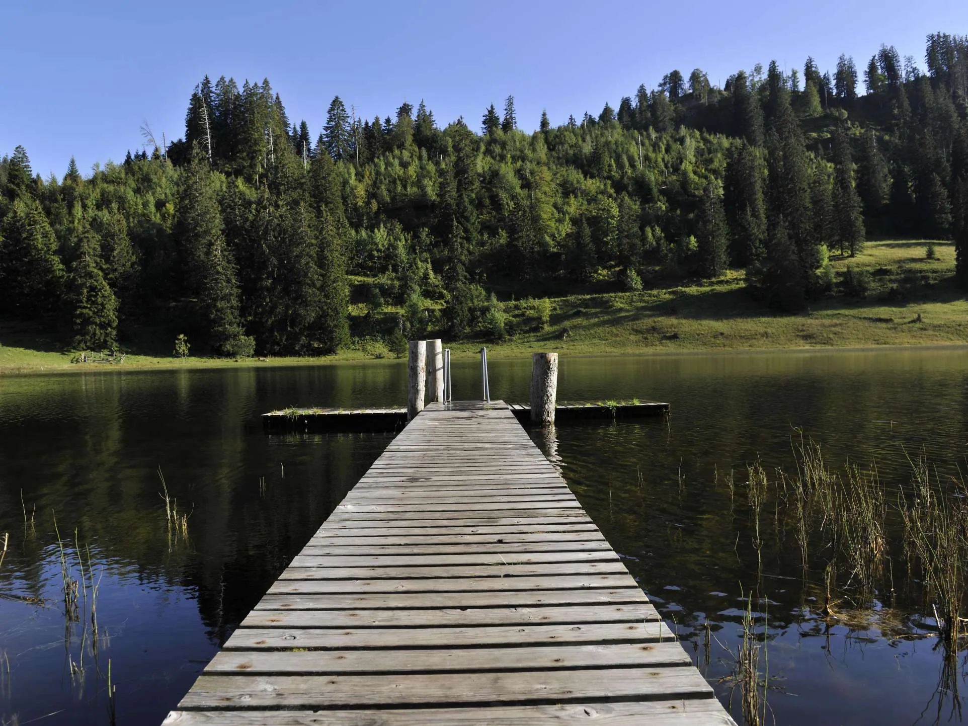 Ein hölzerner Steg führt in den stillen Gräppelensee
