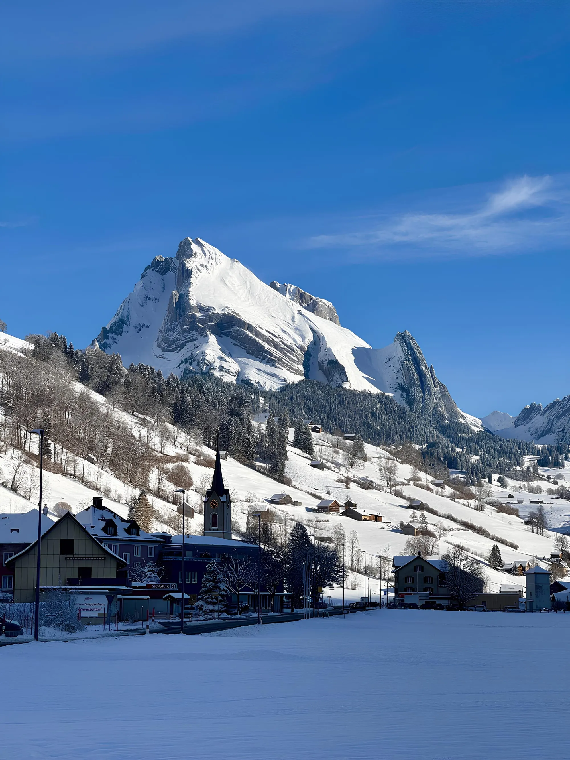 Blick auf den Schafberg im Toggenburg