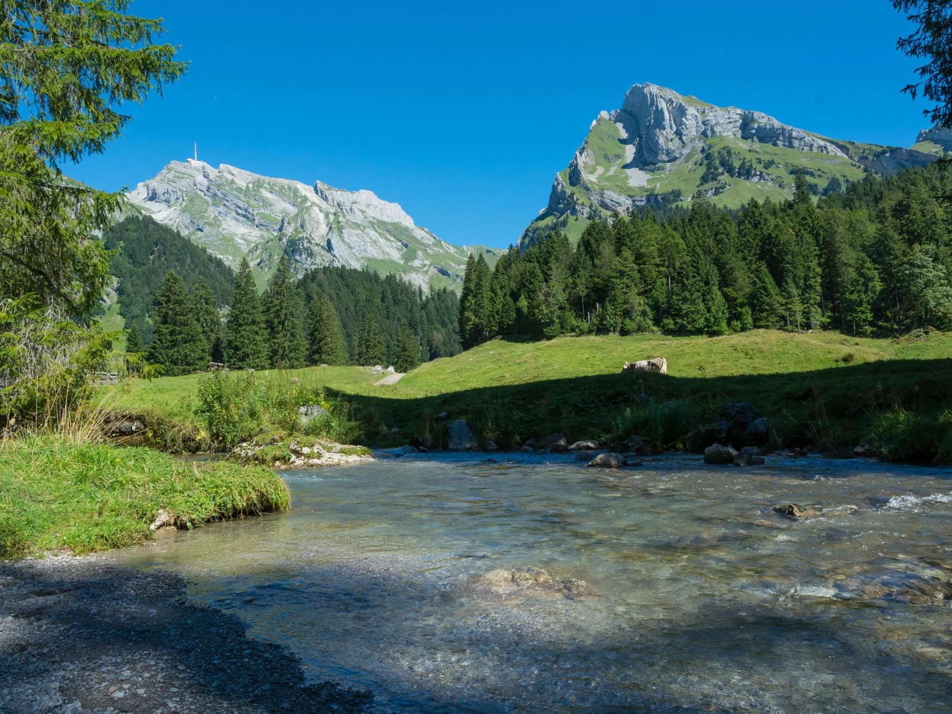 Die klare, flache Thur schlängelt sich durchs Tal, im Hintergrund die Berge