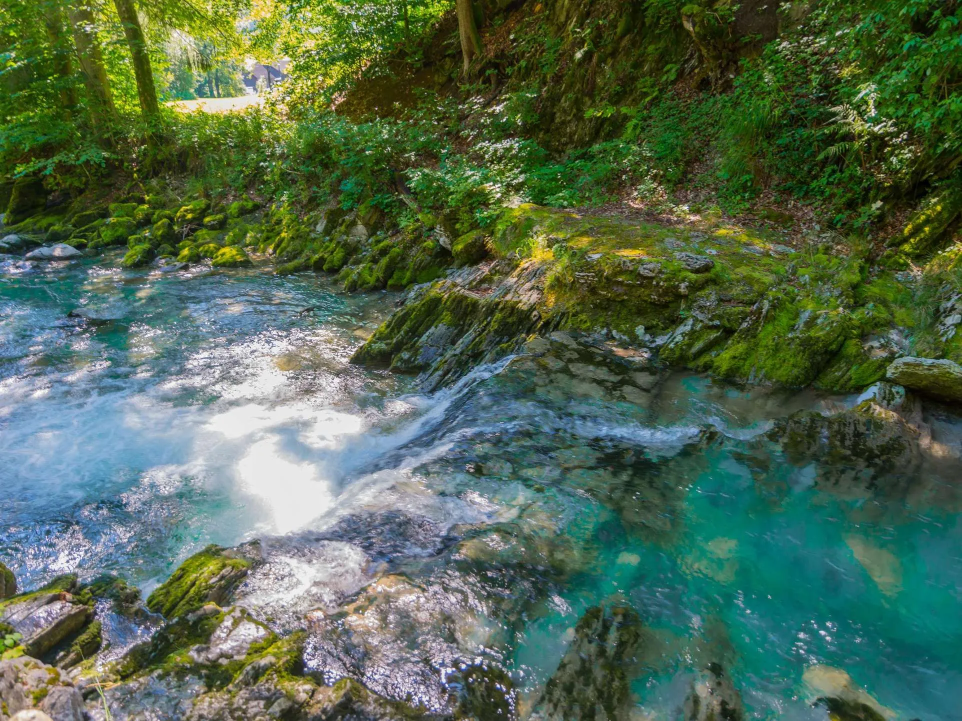 Klares, türkisfarbenes Wasser der Thur bei den Thurwasserfällen in Unterwasser